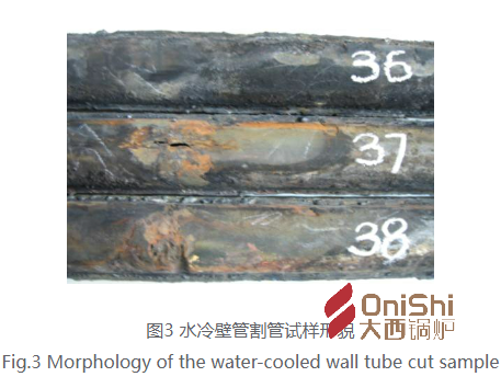 锅炉水冷壁管走漏失效剖析